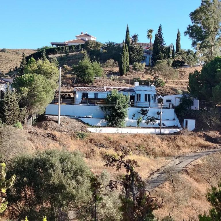 La Bailonga, a little piece of Paradise in Cómpeta - Casa de 5 dormitorios - 66