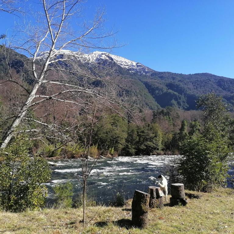 Cabaña Pocolpen - Apartamento de 2 dormitorios - 7