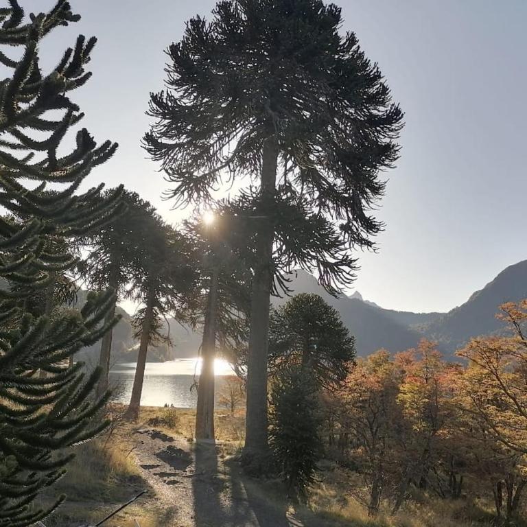 Cabaña Pocolpen - Apartamento de 2 dormitorios - 11