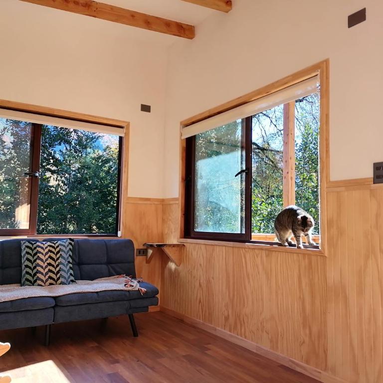 Cabaña Pocolpen - Apartamento de 2 dormitorios - 12