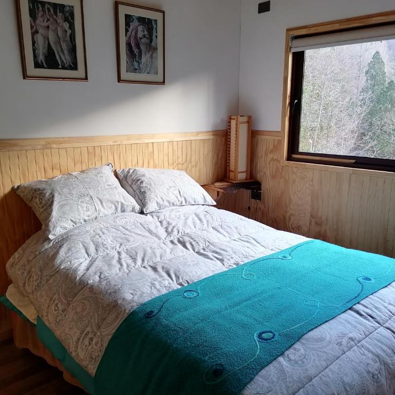 Cabaña Pocolpen - Apartamento de 2 dormitorios - 14