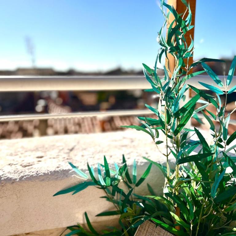 Le Paradis-Terrasse-Clim - One-Bedroom Apartment - 22