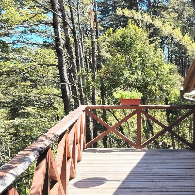 Cabañas mountain Native forest - One-Bedroom Apartment - 5