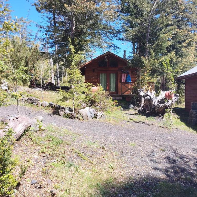 Cabañas mountain Native forest - One-Bedroom Apartment - 6
