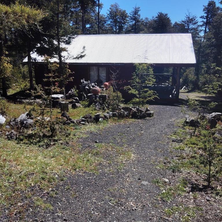 Cabañas mountain Native forest - Two-Bedroom Apartment - 5