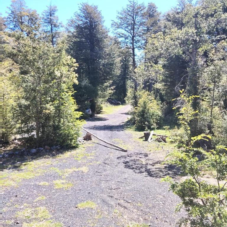 Cabañas mountain Native forest - One-Bedroom Apartment - 7