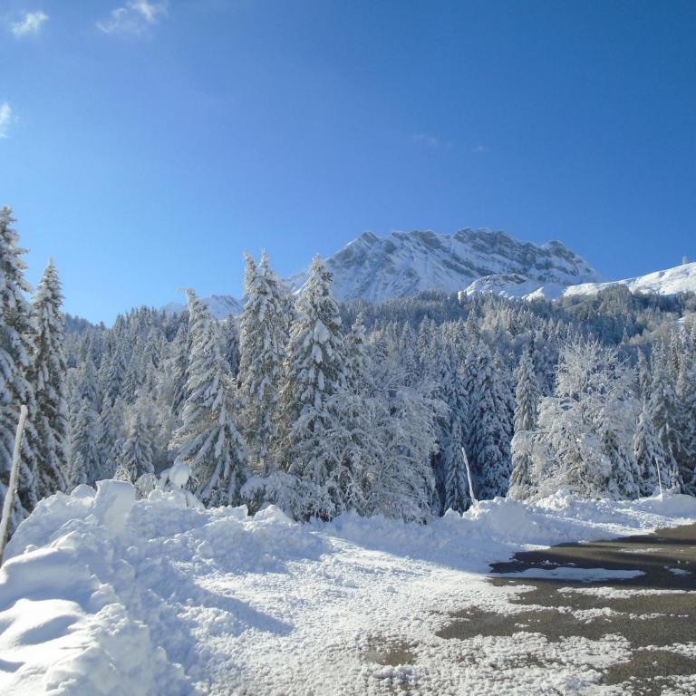 La Bartavelle - Apartment mit Blick auf die Berge - 28