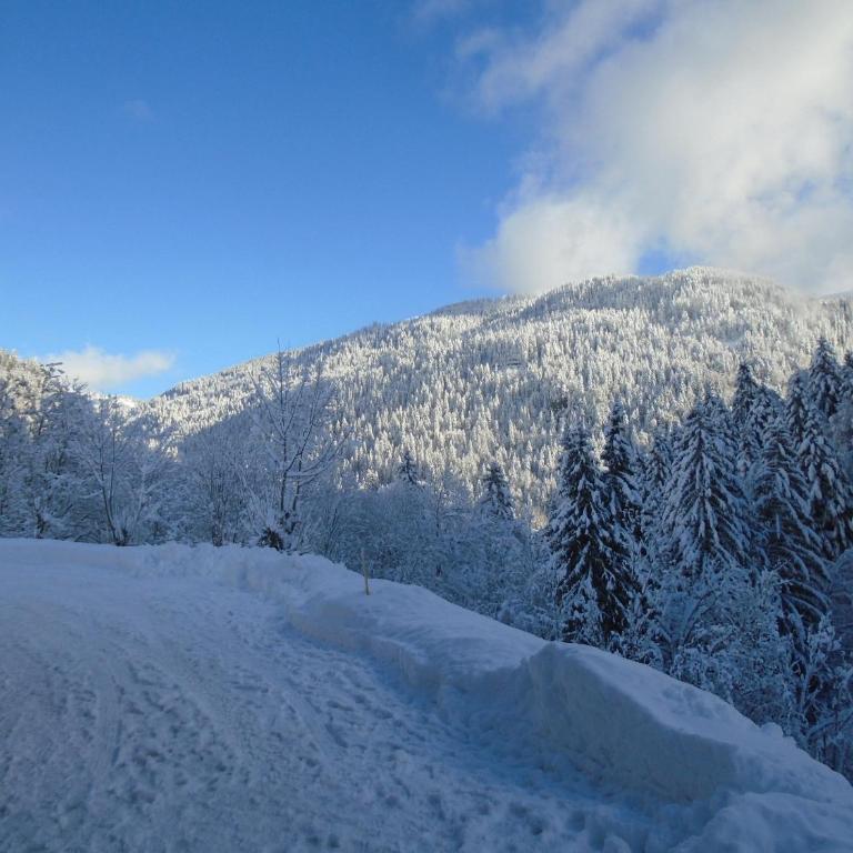 La Bartavelle - Apartment mit Blick auf die Berge - 32