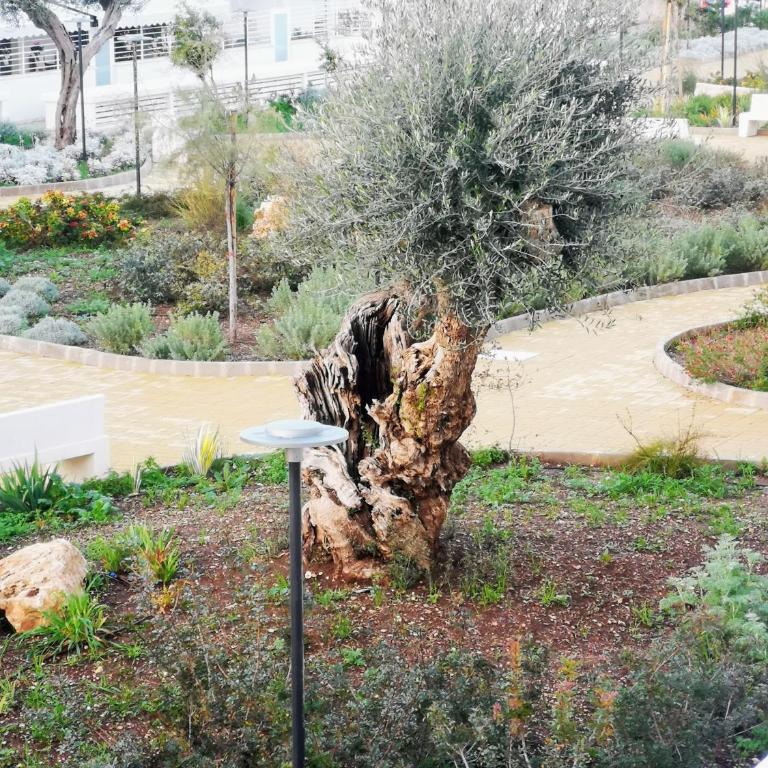 CostaSud Rita's House - Appartamento Suite - 42