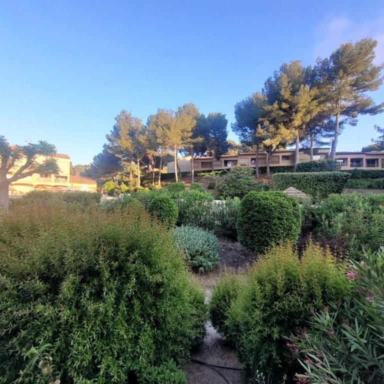 Le Nid du Vallon -studio- Plage & Piscine - One-Bedroom Apartment - 6