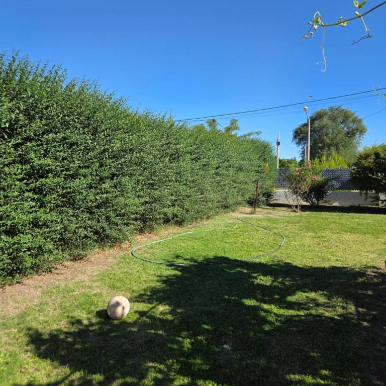 Las Golondrinas - Casa de 2 dormitorios - 20