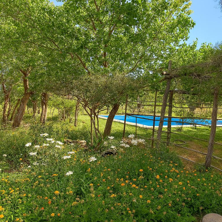 Casa de campo Luisa - Three-Bedroom Vacation Home - 22
