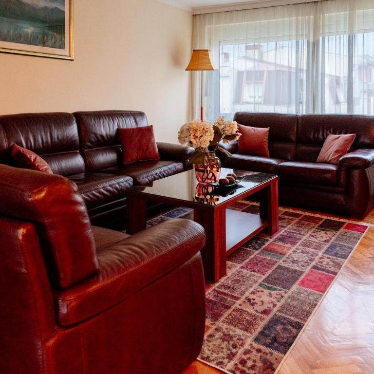 Milenijum apartman - Apartman sa 1 Spavaćom Sobom - 6