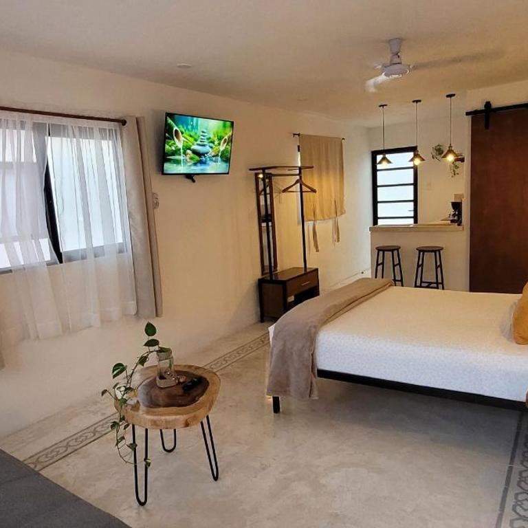 Pakáal Muliix - Limóm - One-Bedroom Apartment - 1