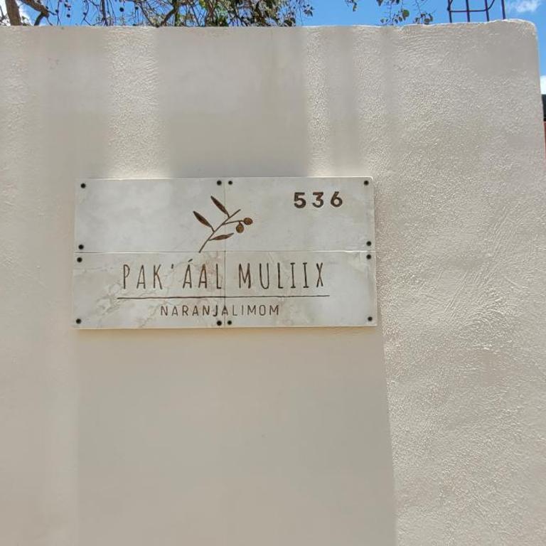 Pakáal Muliix - Limóm - One-Bedroom Apartment - 18
