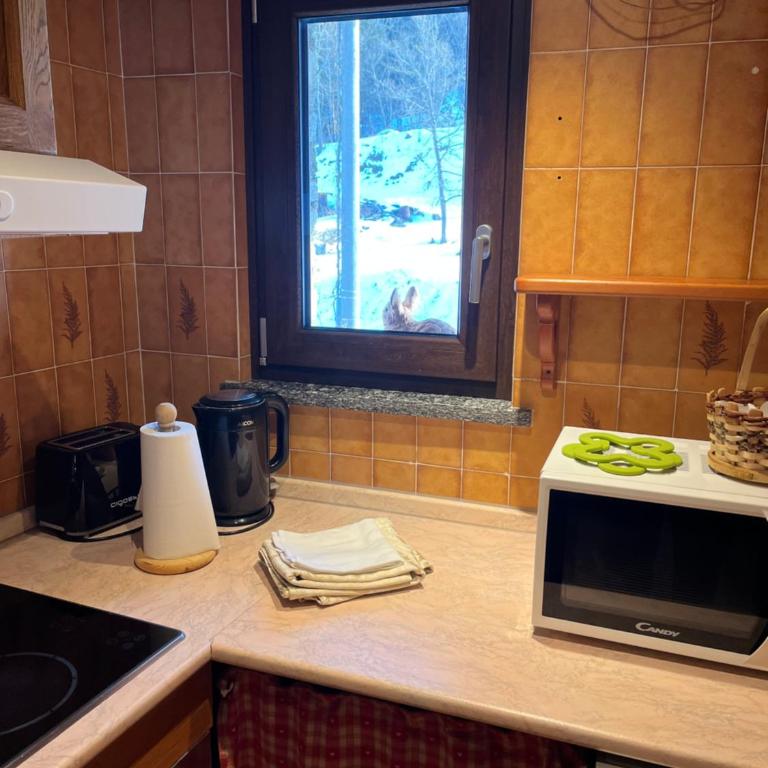 Flora Alpina apartments - Residenza Bieltschocke - Casa Vacanze con 3 Camere da Letto - 9