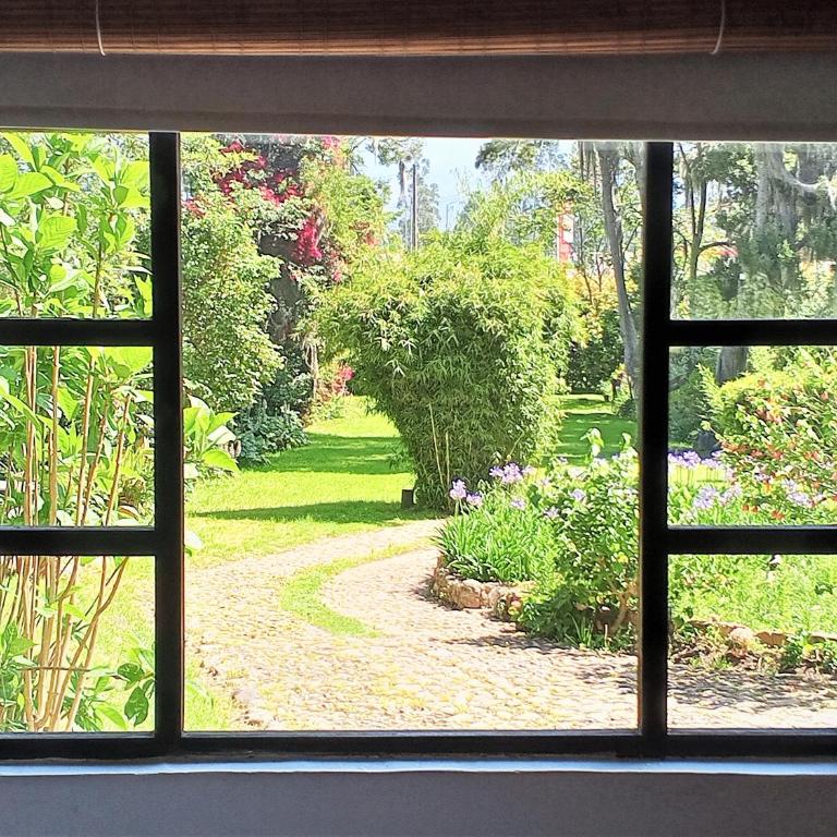 Finca La Mara - Habitación Deluxe con cama extragrande - 2