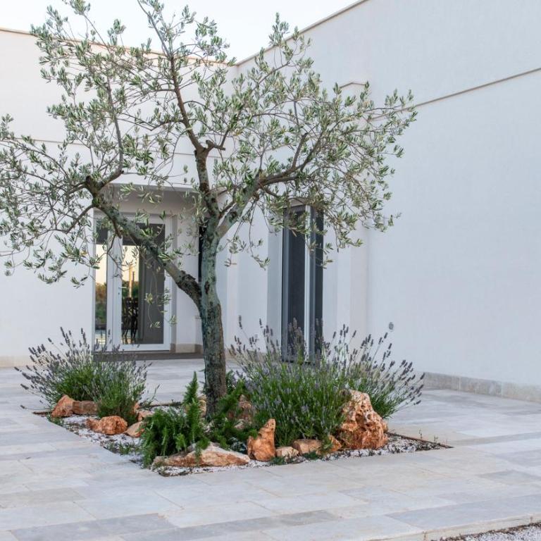 Residenza del Duca Luxury Villa Pool Spa Valle dItria - Villa with Private Pool - 11