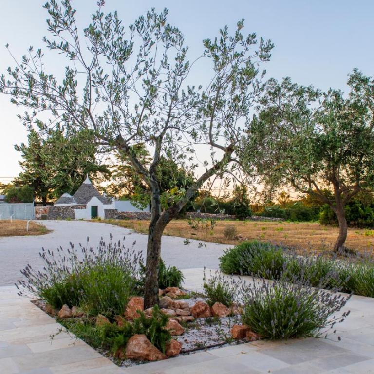 Residenza del Duca Luxury Villa Pool Spa Valle dItria - Villa with Private Pool - 40