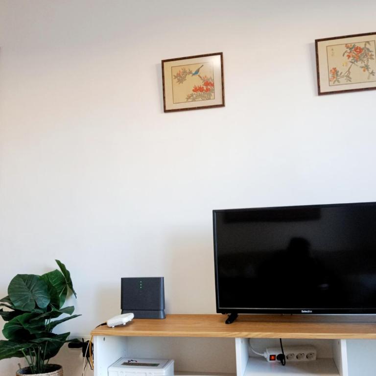 Tempul Garden Suite - Apartamento de 3 dormitorios con vistas - 40