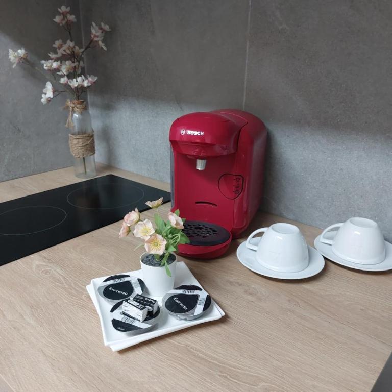 Charmant petit appartement a Disneyland ! - One-Bedroom Apartment - 21
