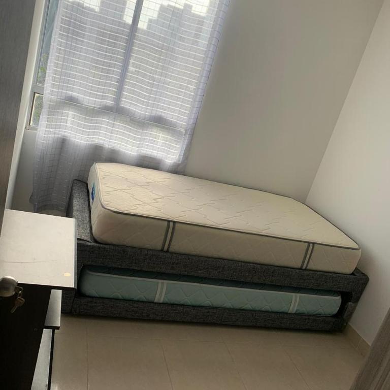 Apartamento amoblado en parque heredia - Three-Bedroom Apartment - 5