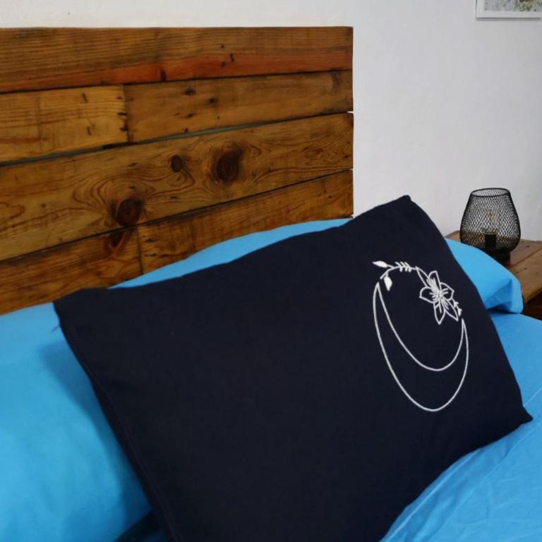 Comfy studio Yaxkin on downtown, 3 block away from sea and sunsets - Estudio - 7