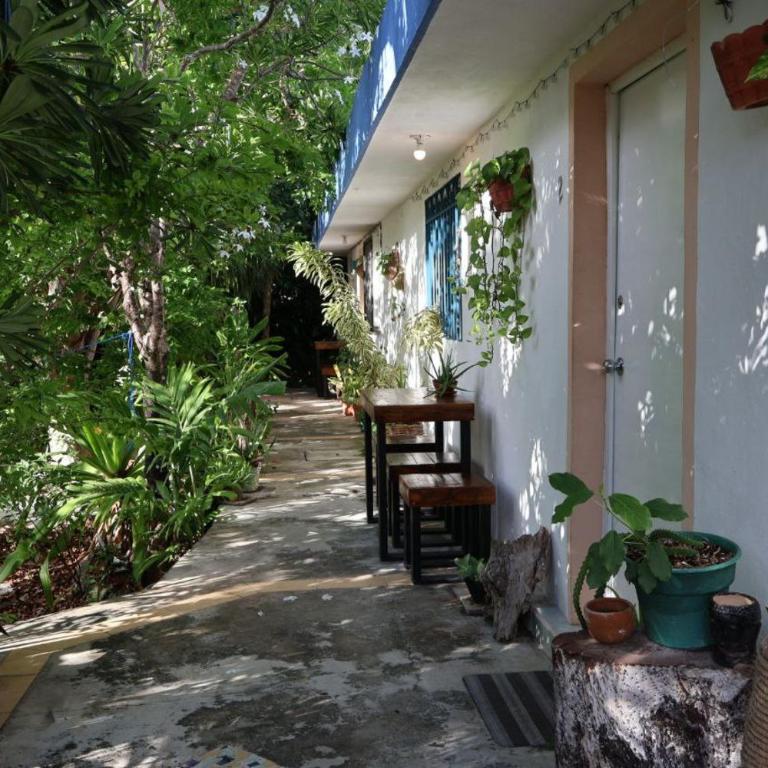 Comfy studio Yaxkin on downtown, 3 block away from sea and sunsets - Estudio - 19