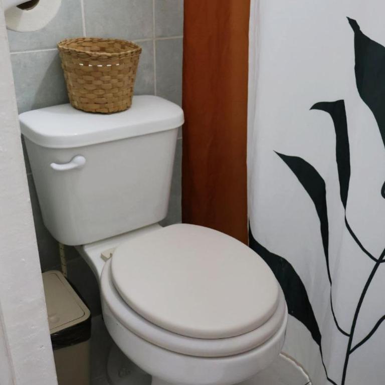 Comfy studio Yaxkin on downtown, 3 block away from sea and sunsets - Estudio - 8