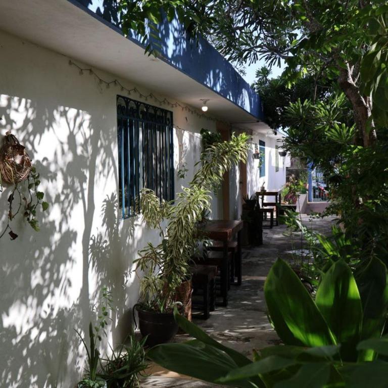 Comfy studio Yaxkin on downtown, 3 block away from sea and sunsets - Estudio - 16