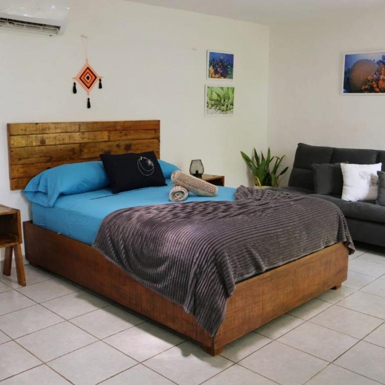 Comfy studio Yaxkin on downtown, 3 block away from sea and sunsets - Estudio - 18