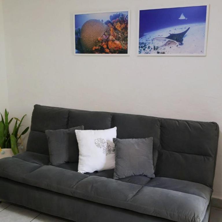 Comfy studio Yaxkin on downtown, 3 block away from sea and sunsets - Estudio - 17