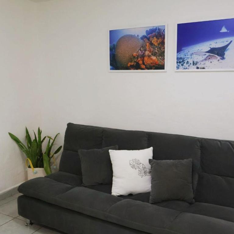 Comfy studio Yaxkin on downtown, 3 block away from sea and sunsets - Estudio - 21