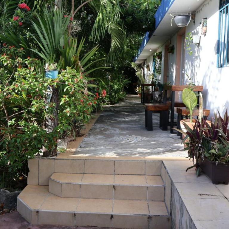 Comfy studio Yaxkin on downtown, 3 block away from sea and sunsets - Estudio - 26