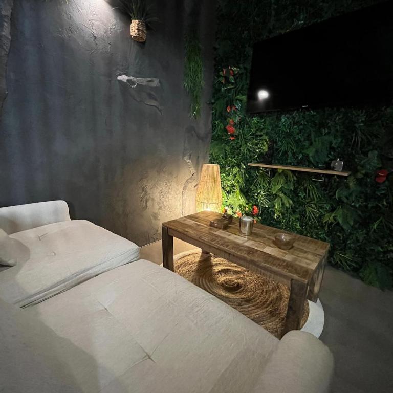 Jungle room Poitiers - Appartement 1 Chambre - 6