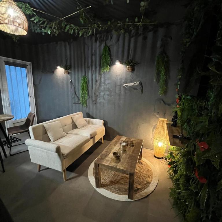 Jungle room Poitiers - Appartement 1 Chambre - 8