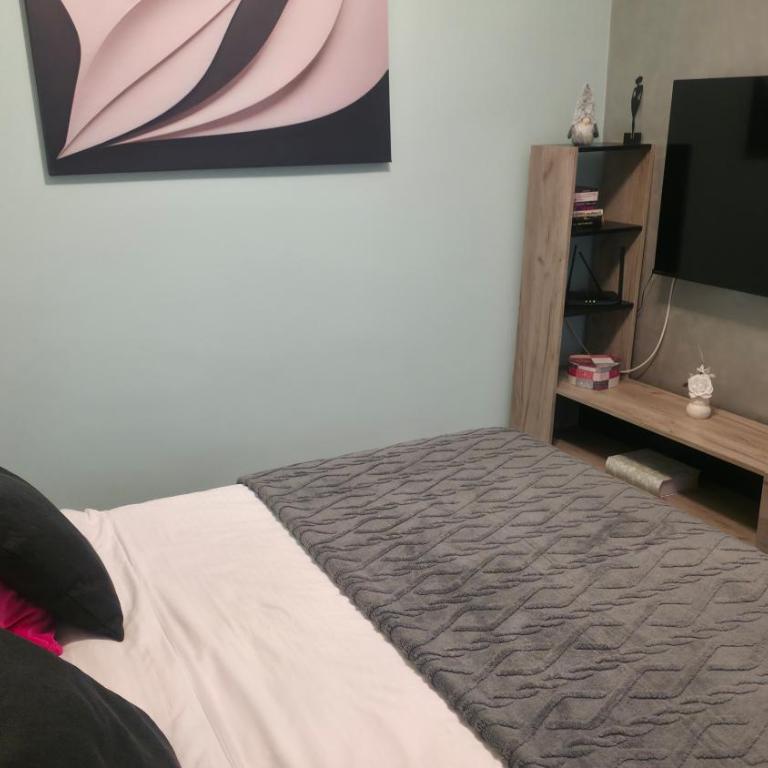 Apartmani Novi Grad - Deluxe Double Studio - 19