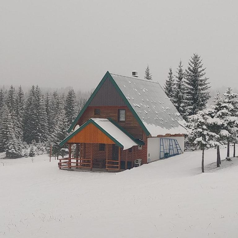 House in forest - Three-Bedroom House - 7