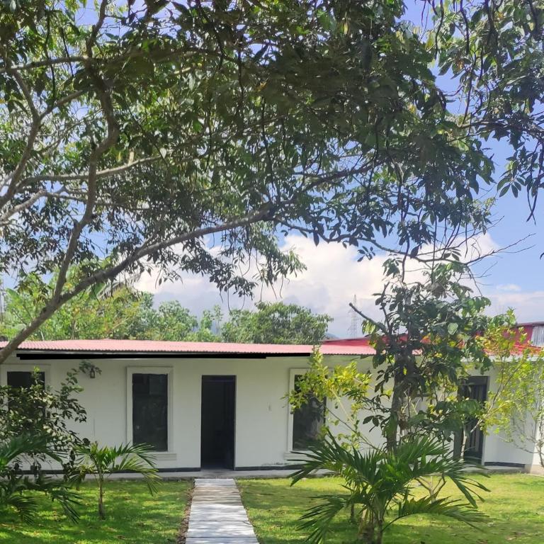 Wee House - One-Bedroom House - 2