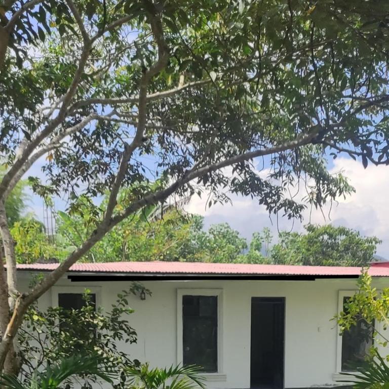 Wee House - One-Bedroom House - 5