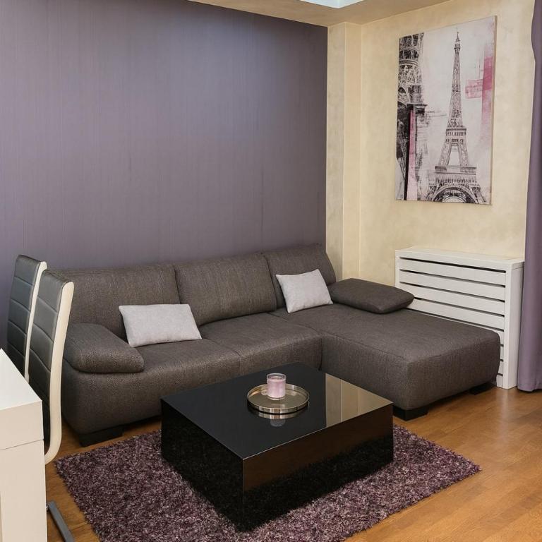 Sajam Nest Apartment - Apartman sa 2 Spavaće Sobe - 13