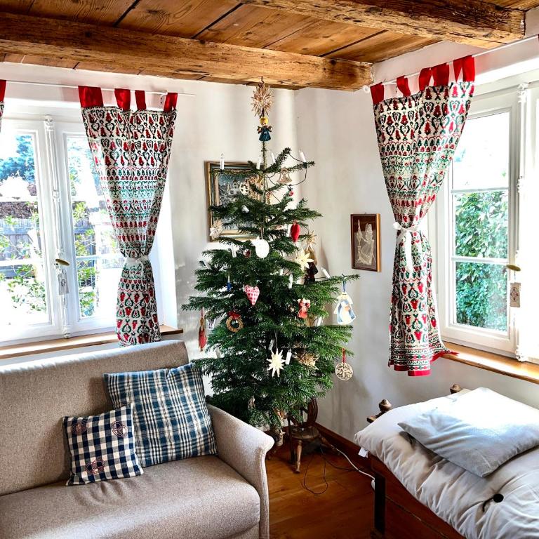 La maison alsacienne Strasbourg - Maison 3 Chambres - 2