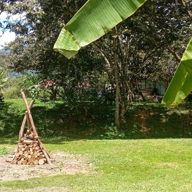 Cabaña en alquiler - oxapampa - One-Bedroom House - 5