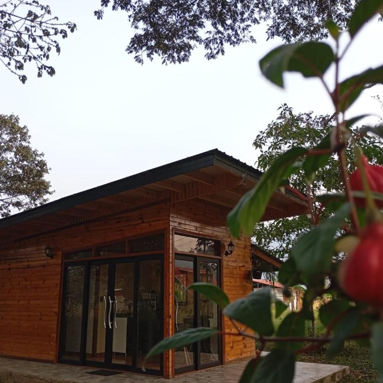 Cabaña en alquiler - oxapampa - One-Bedroom House - 3