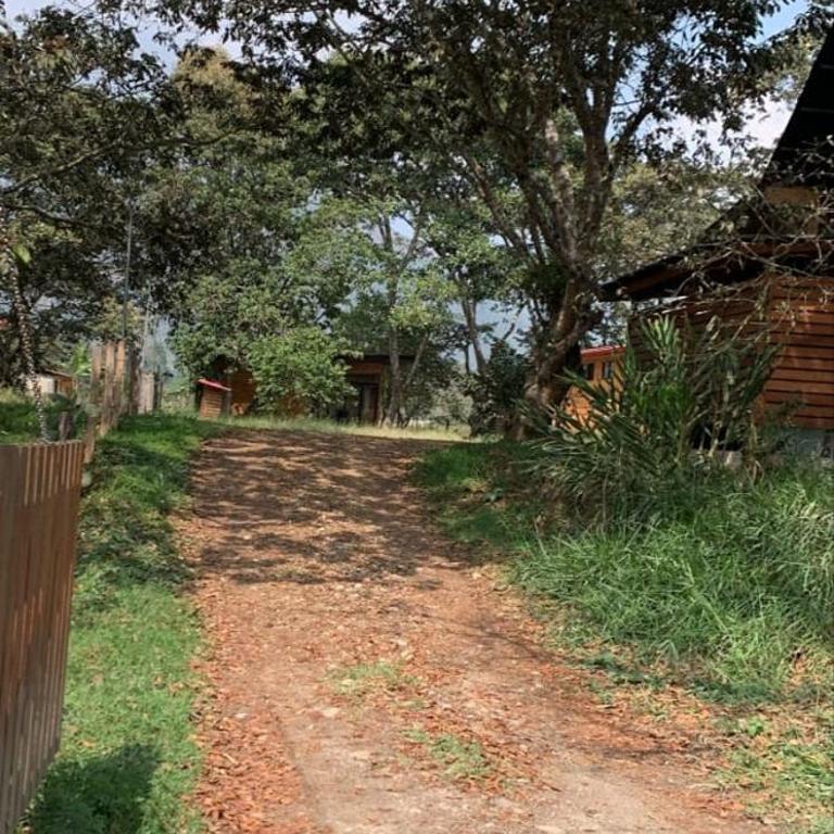 Cabaña en alquiler - oxapampa - One-Bedroom House - 2