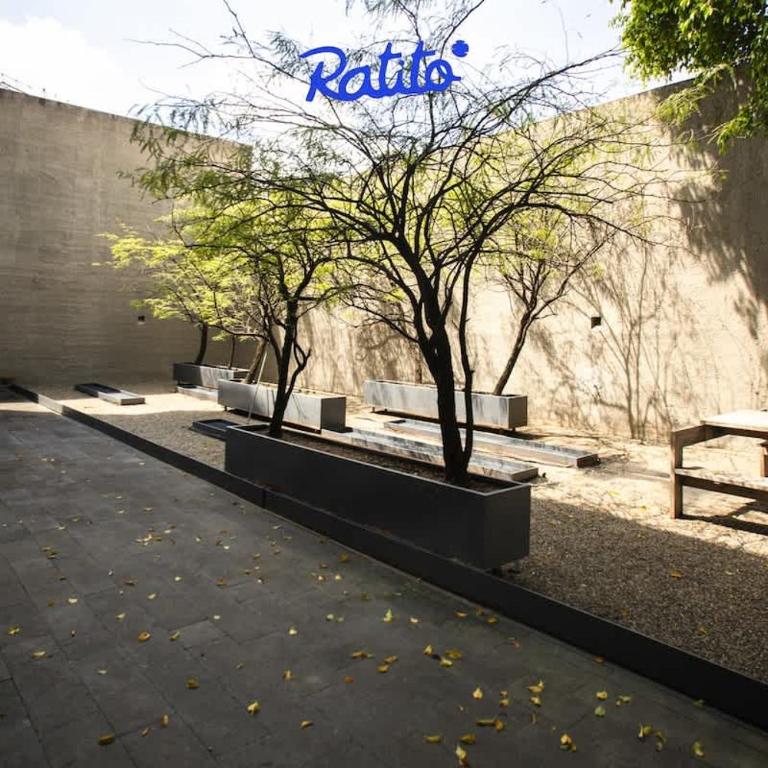 Estudio en Colonia Americana Cama QS SofaCama - Apartment - 53