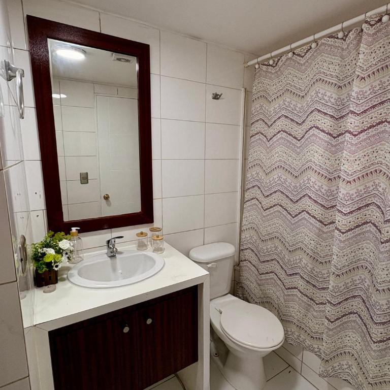 Moderno Apartamento a pasos del Metro y Museo Bellas Artes, Cerro Santa Lucia, Barrio Lastarria - One-Bedroom Apartment - 12