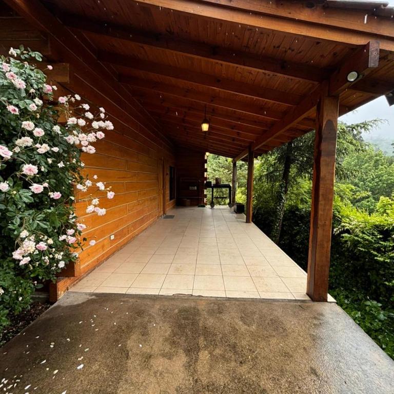 Cabaña Alpina con Terraza Panorámica - Chalet de 1 dormitorio - 21
