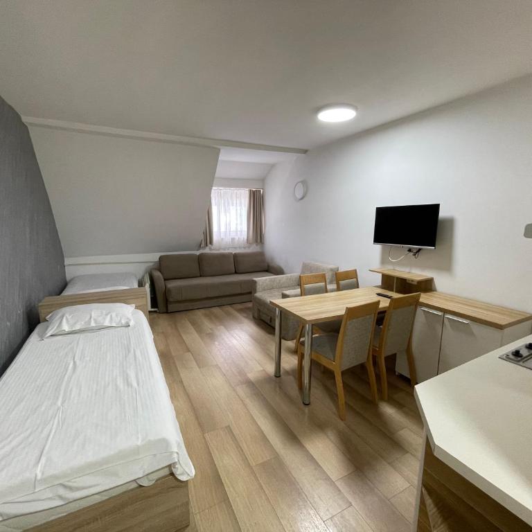 Apartments Konaci Kopaonik - Studio with Mountain View - 1