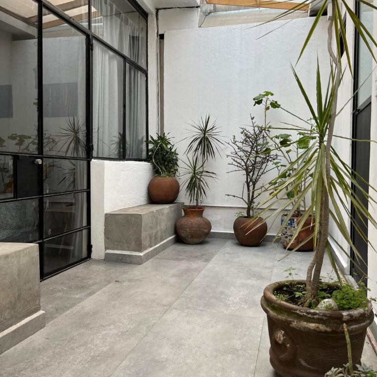 Mini loft with a small terrace en Condesa - One-Bedroom Apartment - 4